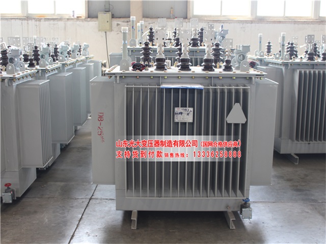 凭祥S13-800KVA油浸式电力变压器